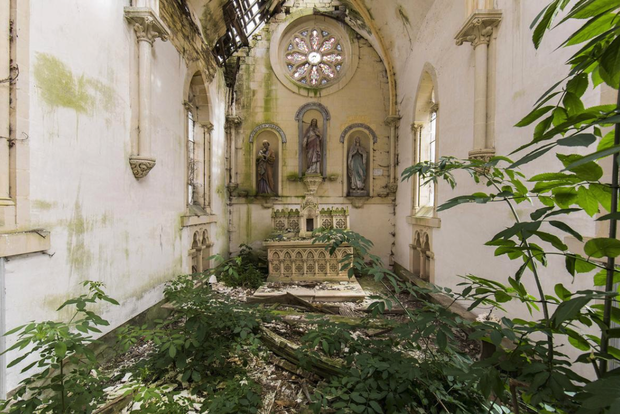 Naturalia: Reclaimed by Nature