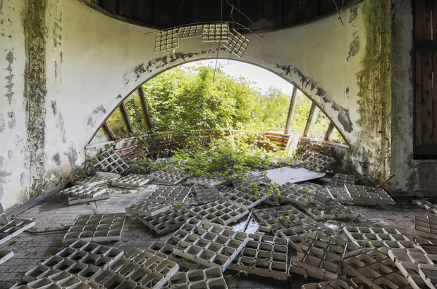 Naturalia: Reclaimed by Nature