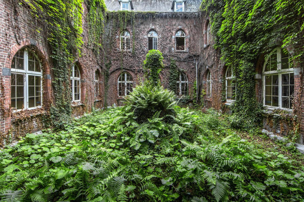 Naturalia: Reclaimed by Nature