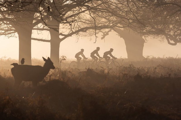 Photograph: Agata Boguszewska/Royal Society of Biology Photography Competition