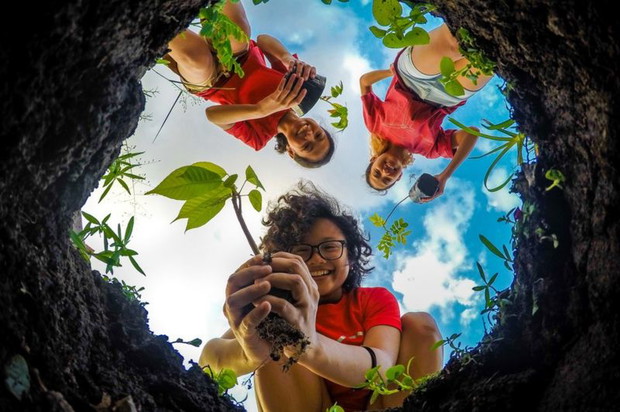 Photograph: Froi Rivera/Royal Society of Biology Photography Competition