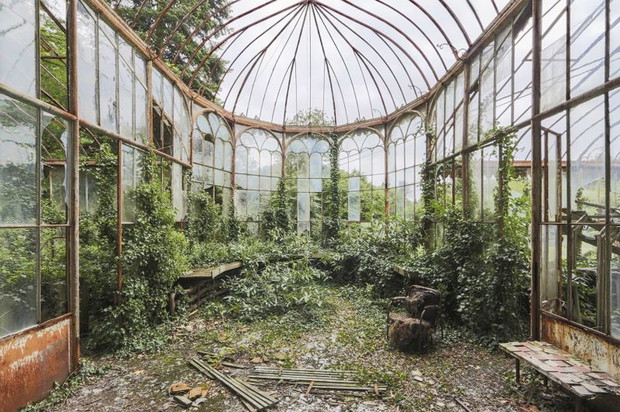Photograph: Jonathan Jimenez/Royal Society of Biology Photography Competition