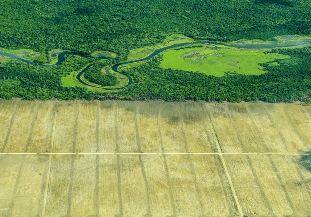 Photograph: Roberto Bueno Hernández/Royal Society of Biology Photography Competition