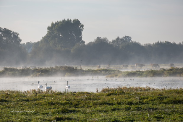 polskapogodzinach