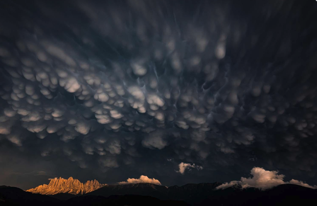 European Wildlife Photographer of the Year 2020
