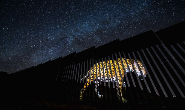 European Wildlife Photographer of the Year 2020