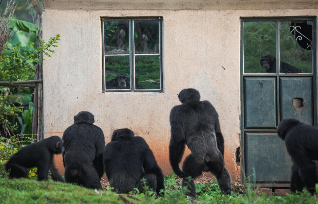 Best Animal Photo 2020