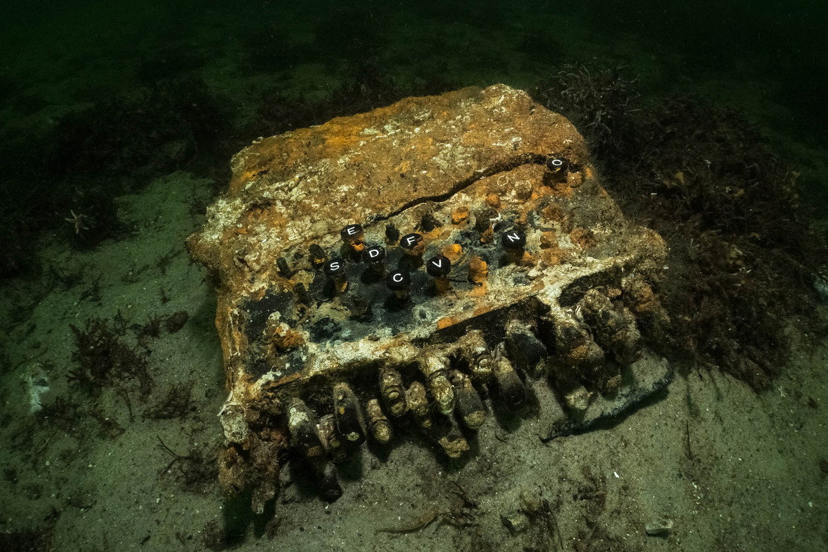 Enigmę znaleźli nurkowie WWF (fot. Florian Huber / Submaris)