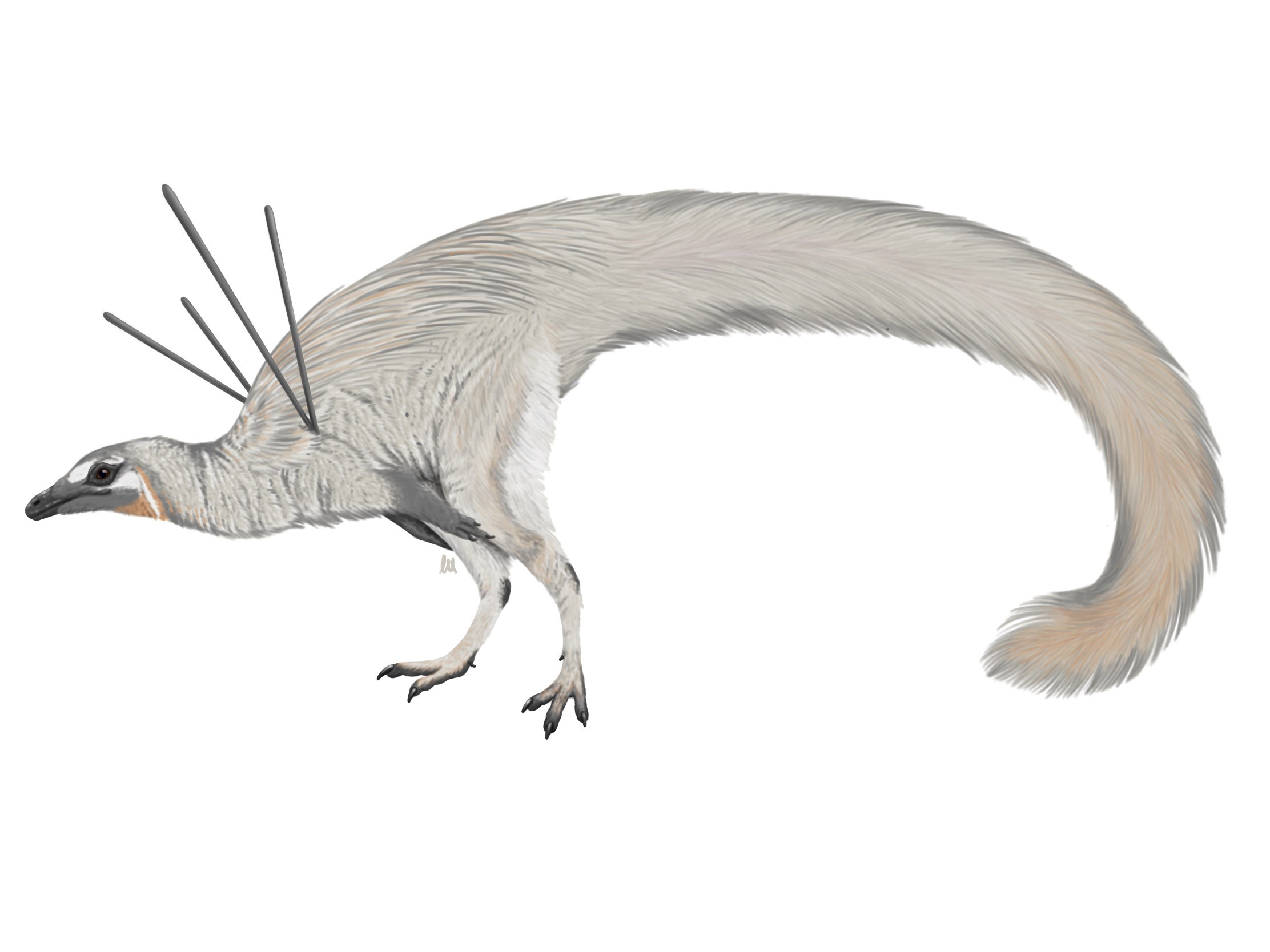 dinozaur