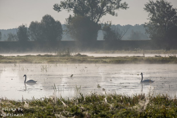 Turystyczne Mistrzostwa Blogerów 2020