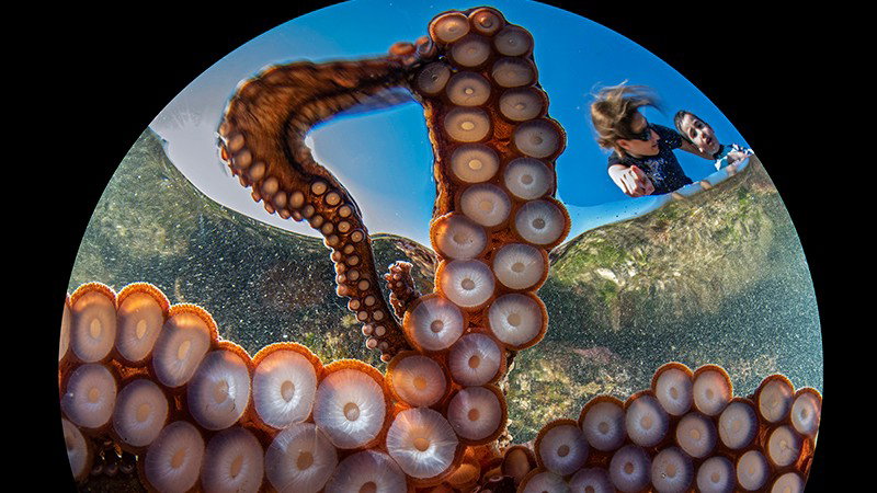 Ocean Art Photo 2020
