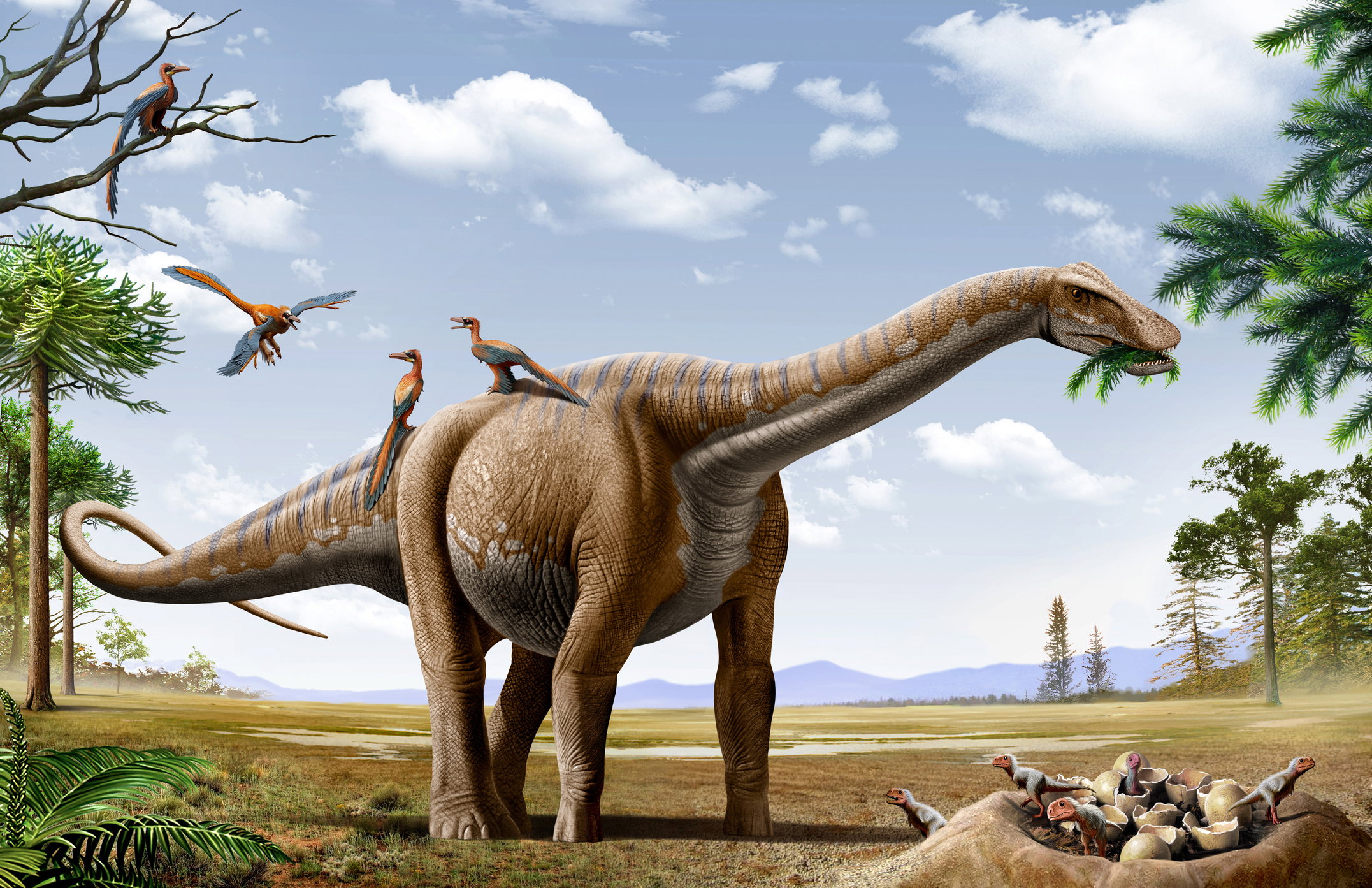 Odkryty dinozaur nie został jeszcze nazwany, ale najpewniej był większy od swoich znanych już krewnych (fot. Getty Images)