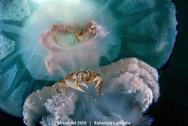 Ocean Art Photo 2020
