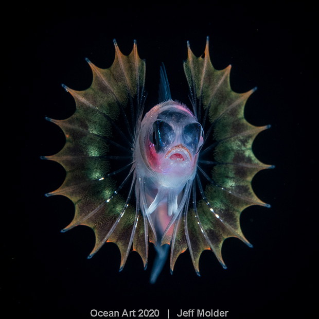 Ocean Art Photo 2020