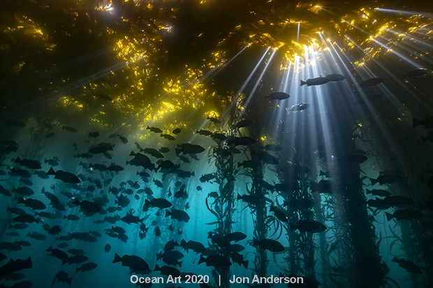 Ocean Art Photo 2020