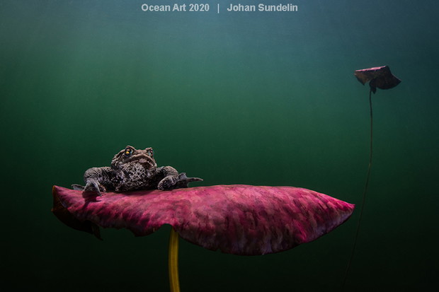 Ocean Art Photo 2020