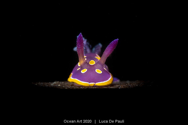 Ocean Art Photo 2020