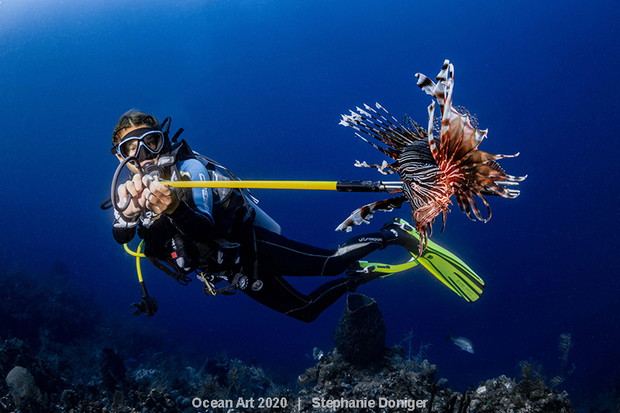 Ocean Art Photo 2020