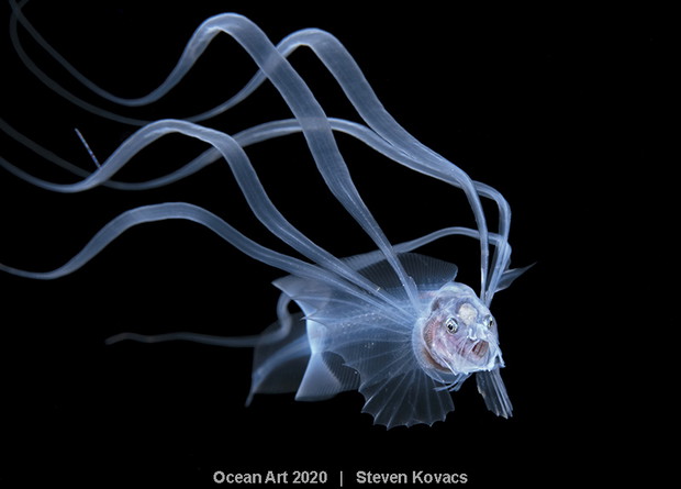 Ocean Art Photo 2020