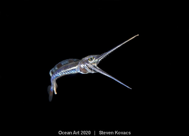 Ocean Art Photo 2020