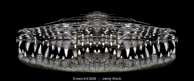 Ocean Art Photo 2020