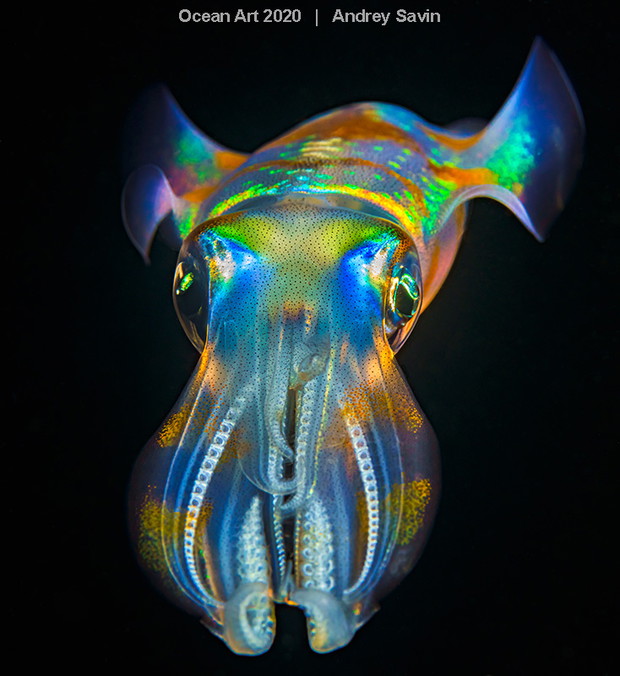 Ocean Art Photo 2020