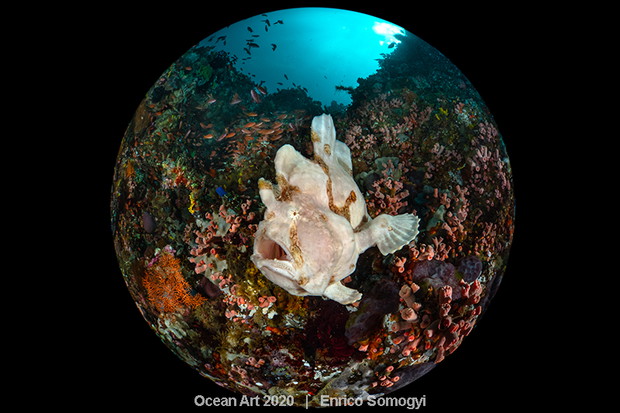 Ocean Art Photo 2020