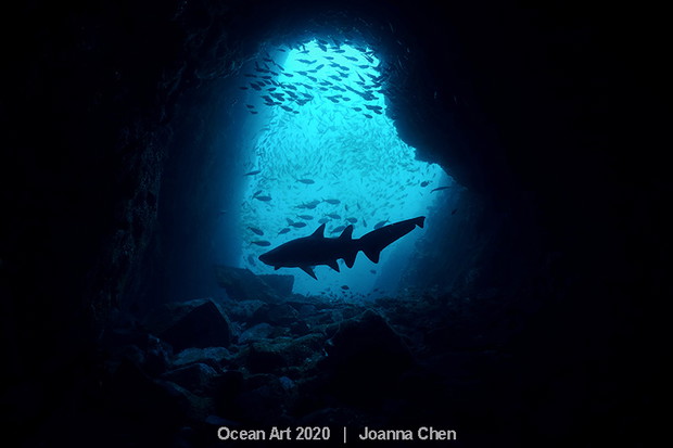 Ocean Art Photo 2020