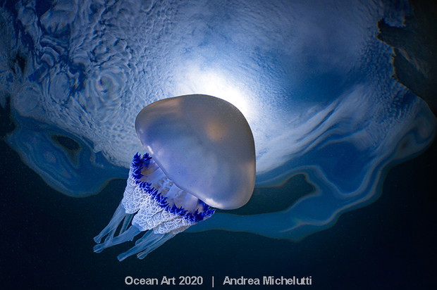 Ocean Art Photo 2020