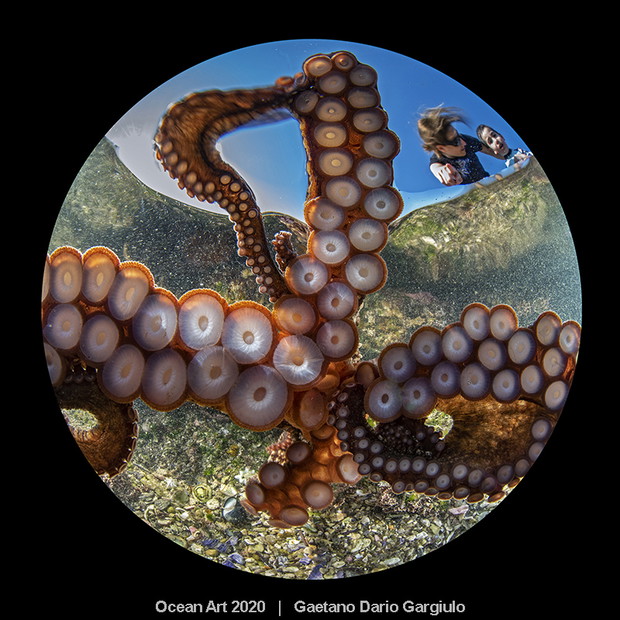Ocean Art Photo 2020