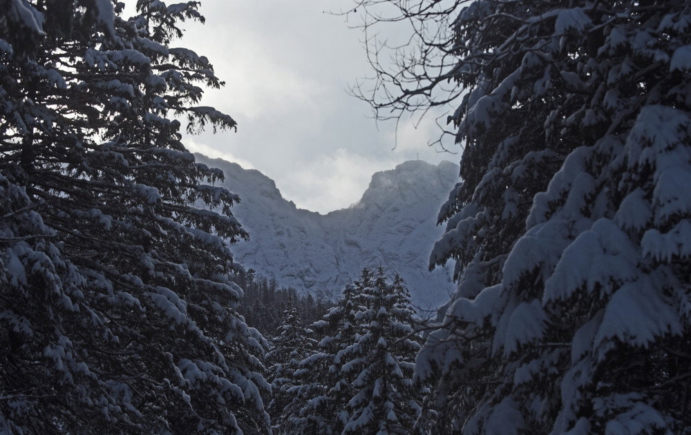 Tatry