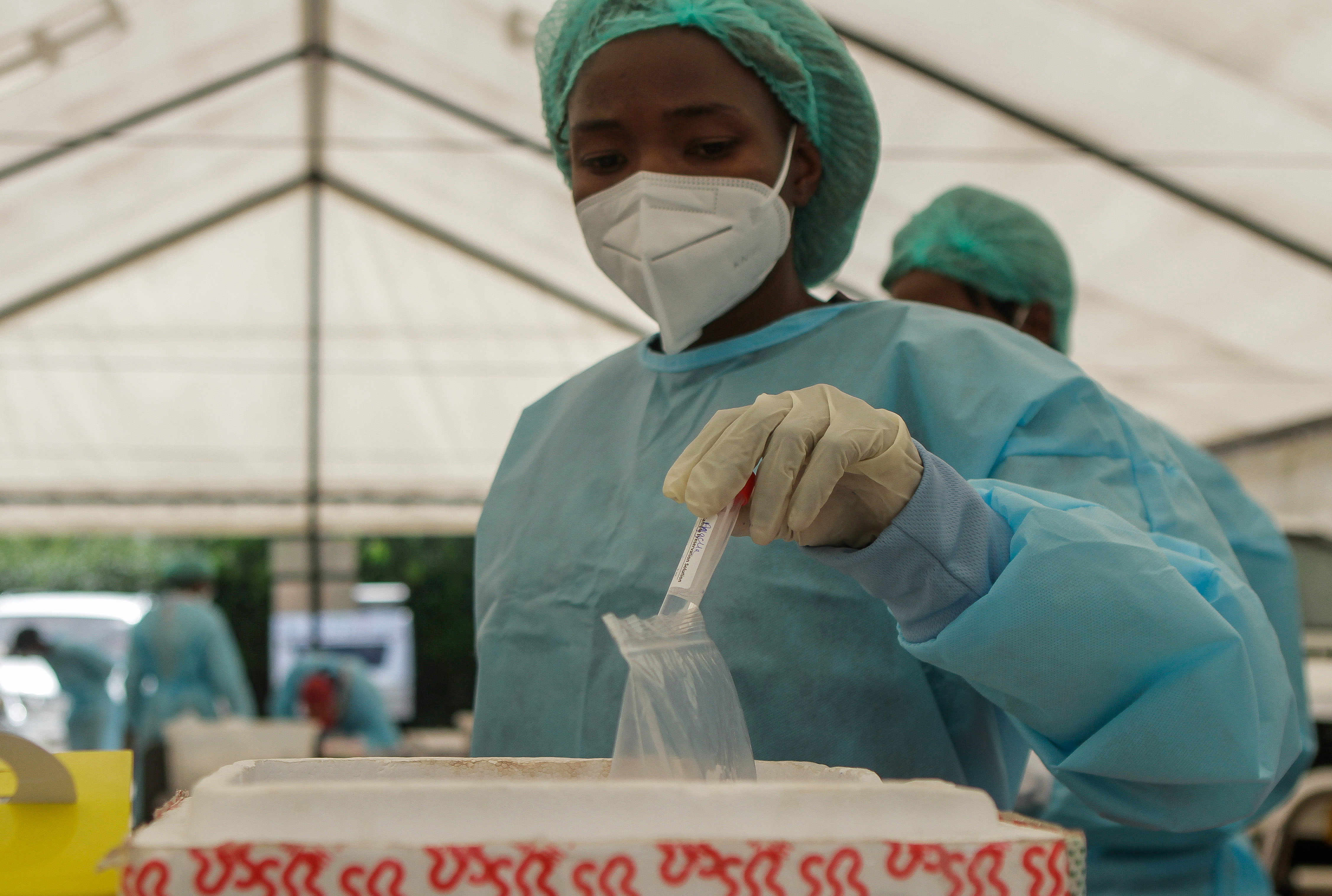 Wirus Nipah może doprowadzić do kolejnej panemii (fot. Getty Images)