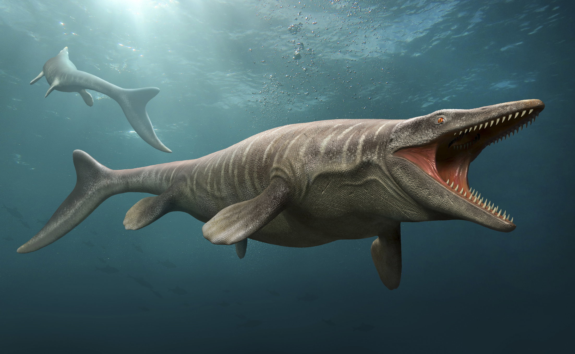 Mozazaur – wielkość tego morskiego gada robi wrażenie! W czasach dinozaurów to mozazaury rządziły morzami (fot. Getty Images)