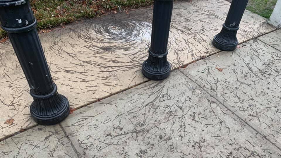 "Tornado robaków" uchwycone przez mieszkankę Hoboken (fot. Facebook/Tiffanie Fisher)
