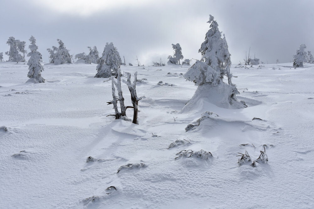 Lawina w Karkonoszach