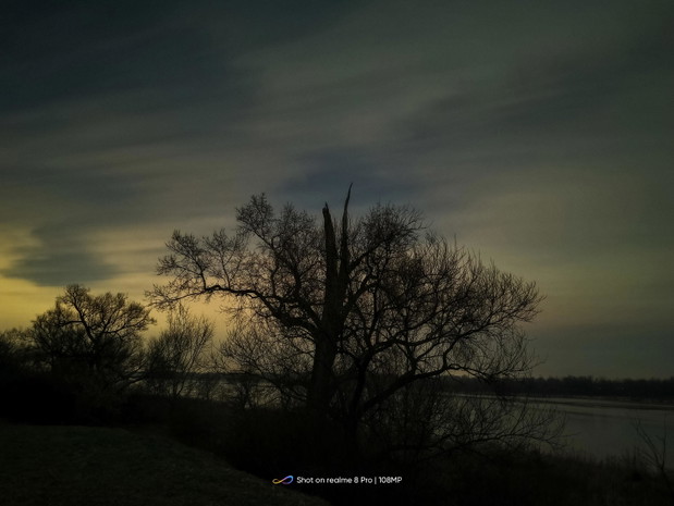 zdjęcie wykonane w trybie nocnym