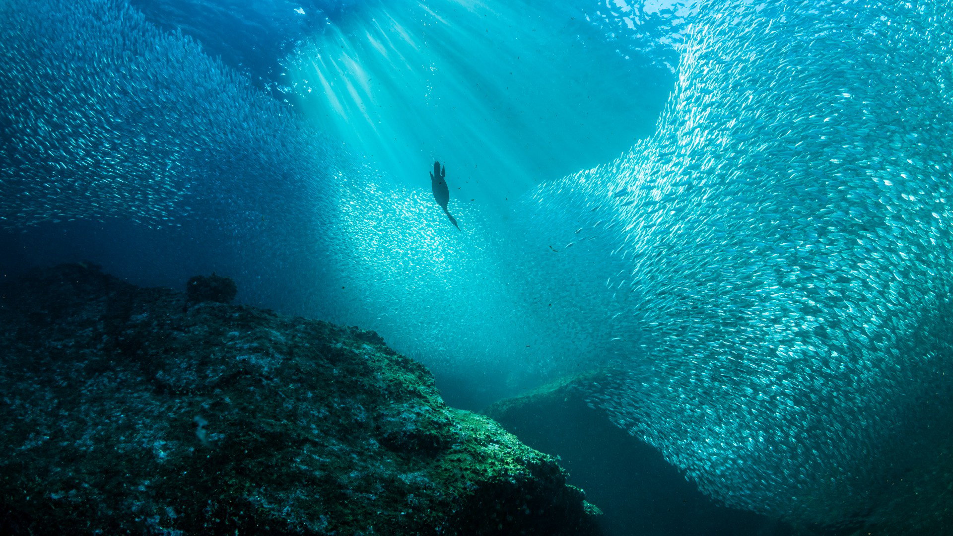Lepsze poznanie ukształtowania dna oceanicznego to korzyść nie tylko dla badaczy (fot. Getty Images)