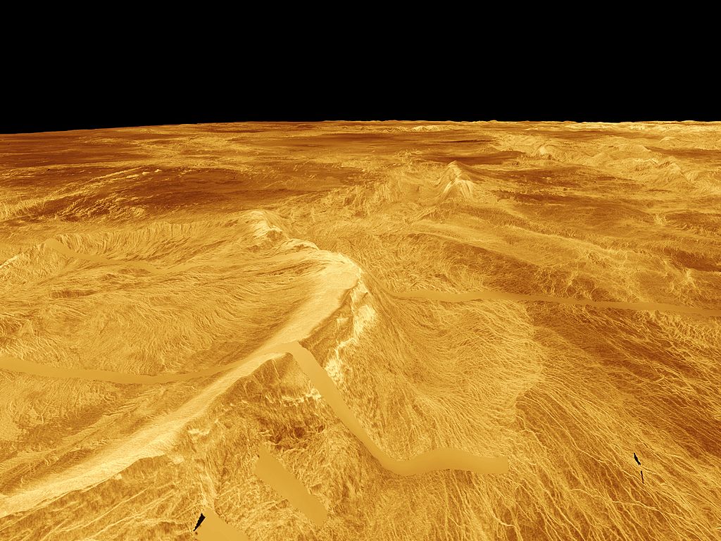 Wenus