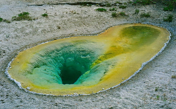 yellowstone-1-93fe636