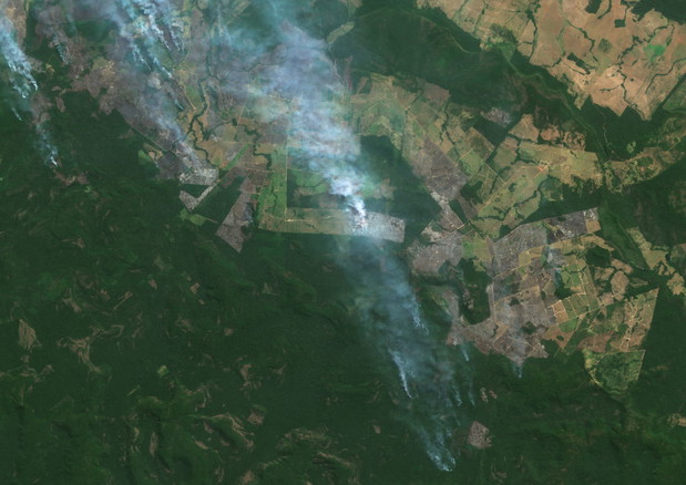 amazonia 2