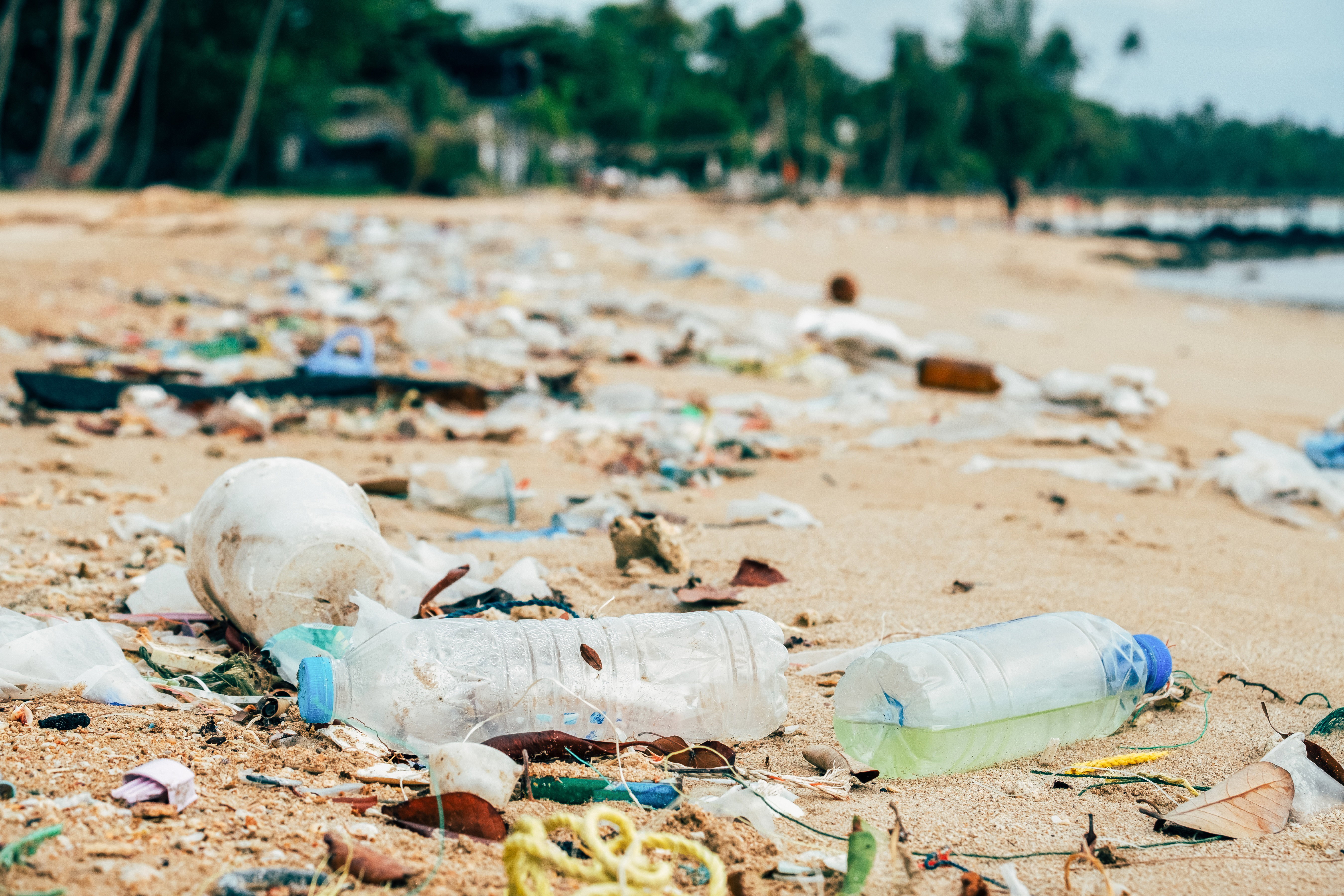 Mikroplastik - jak bardzo nam zagraża?