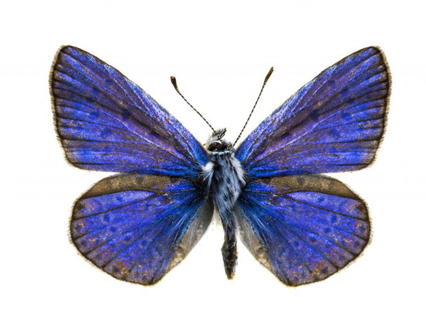 af56e93c462f6fc68b7344363eae98c12af7df6e-4beedf1