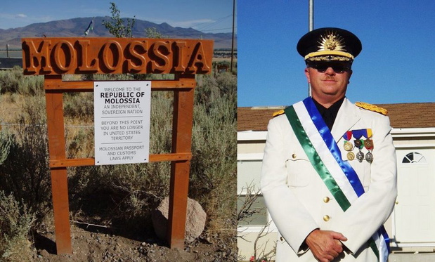 molossia-43e62aa