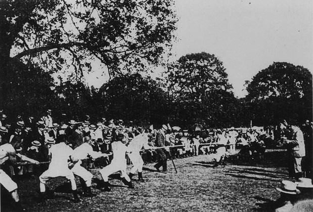 lina 2