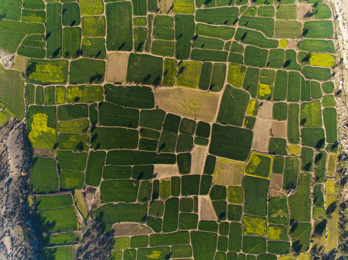 Pakistan