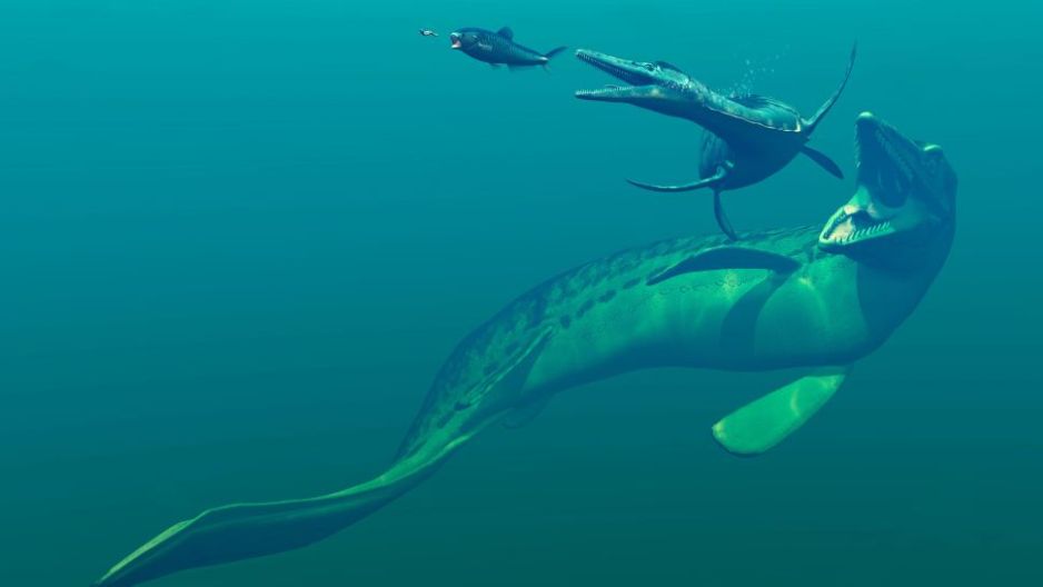 Mozazaur – wielkość tego morskiego gada robi wrażenie! W czasach dinozaurów to mozazaury rządziły morzami (fot. Getty Images)