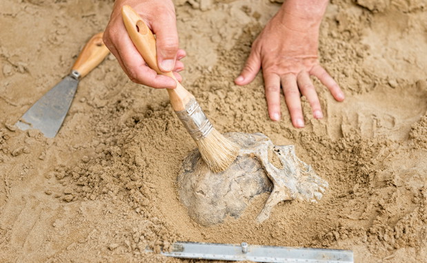 Wykopaliska archeologiczne