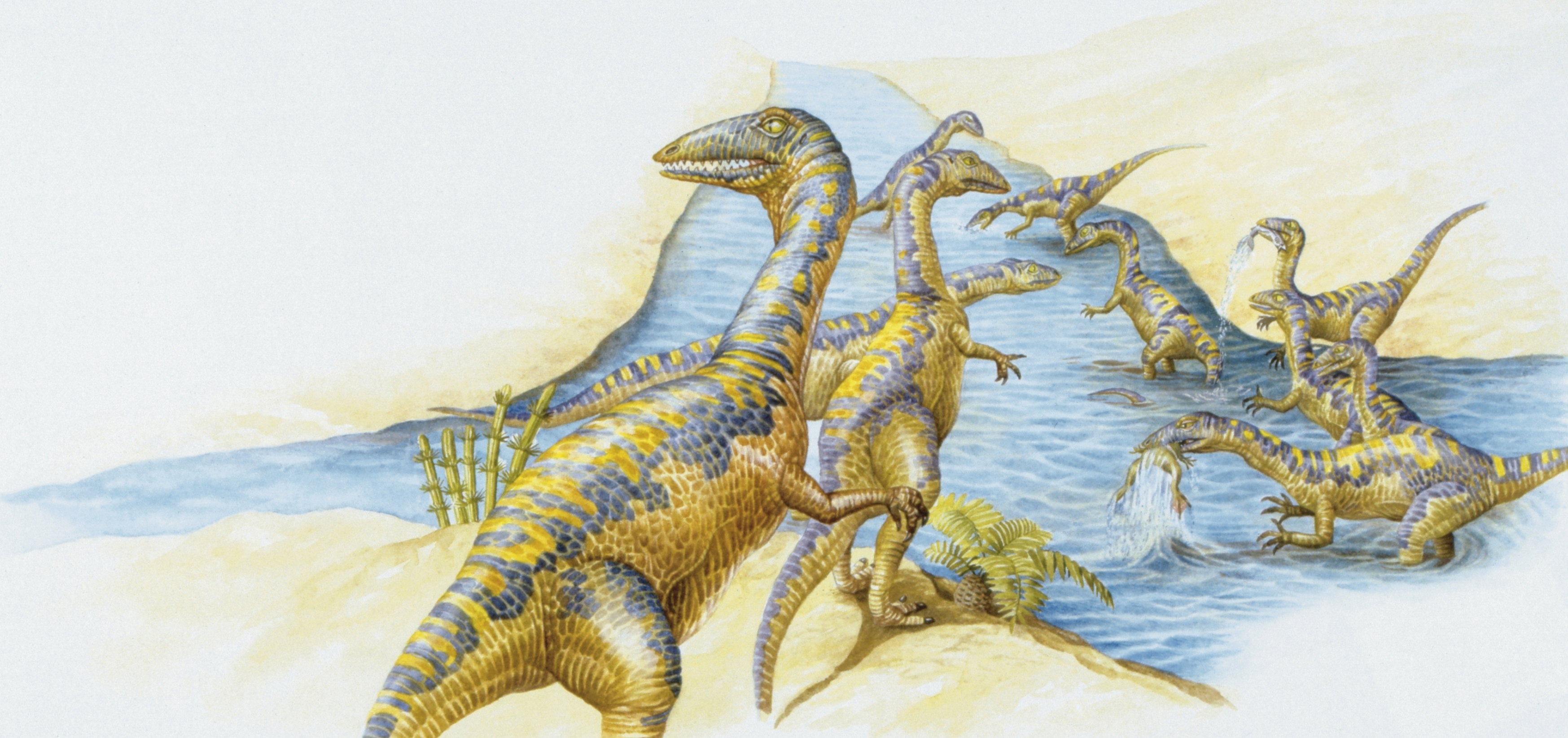 Dinozaury dwunożne. Jak biegały?