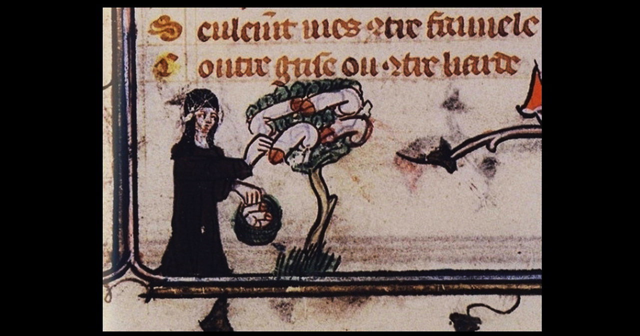 manuskrypt
