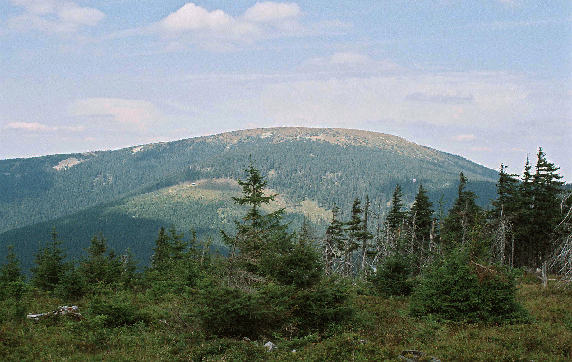Śnieżnik